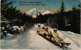 1918 Tátra, Vysoké Tatry; Téli élet a Magas Tátrában, irányítható szánkó / winter sport, toboggan, sled, controllable bob sleigh (EK)