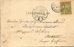 1903 Borszék, Borsec; Az ezredévi emlék. Soós kiadása / Hungarian Millennium monument (lyuk / pinhol...