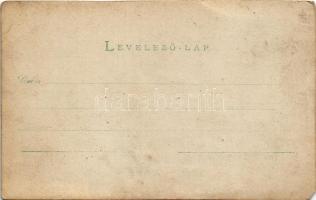 1898 (Vorläufer) Déva, Fő utca, vár, Pap Jenő, Lengyel Dániel és Schuleri Fritz üzlete / main street...