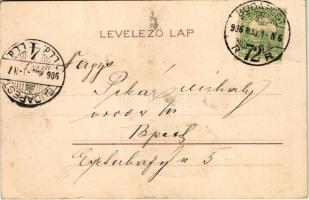 1906 Dr. Nagy Dezső 33 év óta a Józsefváros lakója, 11 évig volt a budapesti ügyvédi kamara titkára,...