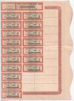 Budapest 1938. "Nitrogen Műtrágya és Vegyiipar Részvénytársaság" tíz részvénye összesen 17...