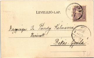 1901 Kisjenő, Kis-Jenő, Chisineu-Cris; Livádai tájkép marhagulyával / farm with cattle