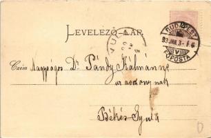 1899 (Vorläufer) Budapest, Ferenc József híd budai hídfő