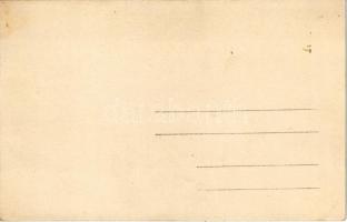 Budapest XIV. Városliget, kert. photo