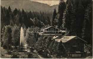 1908 Koritnyica, Korytnica; Szökőkút, Schweiz nyaraló. Gutkaiss kiadása / fountain, villa