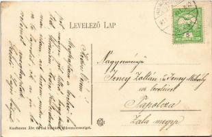 1911 Bustyaháza, Handalbustyaháza, Bushtyno, Bustyno, Bustino (Máramaros); utca, Elefánt Dávid üzlet...