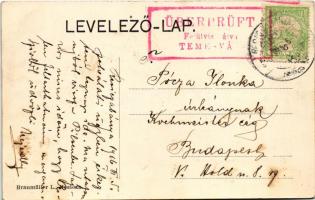 1916 Resica, Resita; Fő utca, gyár. Braumüller L. kiadása, szecessziós montázs gyümölcskosárral / Ha...