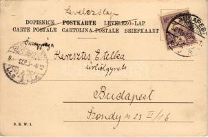 1901 Gold Fischlein / Aranyhalacska / Gold fish. B.K.W.I. s: M.R. (r)