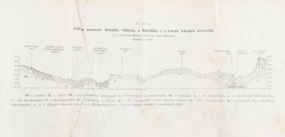 Munk Manó - Frivaldszky János - Koch Antal: A Herkulesfürdő és környéke. Természettudományi, orvosi,...