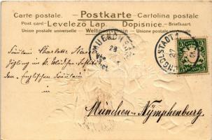 1901 Girl with cat. W.N.B. Emb. litho