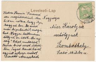 Élesd, Alesd; Gróf Bethlen kastélya, Vilma lak. Goldberger Sámuel kiadása / castle, villa. Art Nouve...