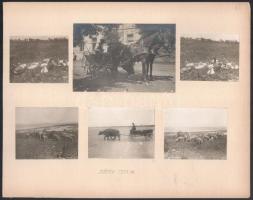 1923-1927 Siófoki strandolók, életképek, 26 db különböző méretű fotó 7 db albumlapon