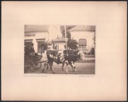 1923-1927 Siófoki strandolók, életképek, 26 db különböző méretű fotó 7 db albumlapon