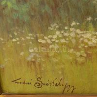 Tordai Székely Mihály (1890-1940): Korsós lány. Olaj, vászon, jelzett, javított. Dekoratív, kissé sé...