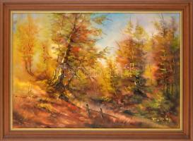 Puja Rezső (?- ): Az ősz színei. Olaj, vászon, jelzett, fakeretben, 50x75 cm
