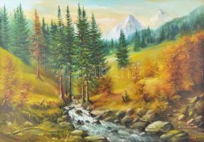 Puja Rezső (?- ): Táj. Olaj, vászon, jelzett, fakeretben, 70x100 cm KIZÁRÓLAG SZEMÉLYES ÁTVÉTEL, NEM...