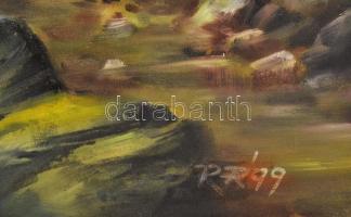 Puja Rezső (?- ): Táj. Olaj, vászon, jelzett, fakeretben, 70x100 cm KIZÁRÓLAG SZEMÉLYES ÁTVÉTEL, NEM...