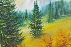 Puja Rezső (?- ): Táj. Olaj, vászon, jelzett, fakeretben, 70x100 cm KIZÁRÓLAG SZEMÉLYES ÁTVÉTEL, NEM...