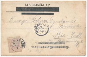 1899 (Vorläufer) Csáktornya, Cakovec; Zala-Újváry kastély, Zrínyi Ó vár, városház, Fő utca, M. kir. ...