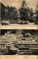 1909 Kapnikbánya, Cavnic; Erzsébet királyné (Sissi) emlék ligetje, Kohó telep. Haraga Márton kiadása / park, mine (EB)