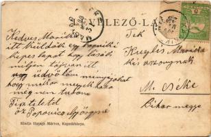 1909 Kapnikbánya, Cavnic; Erzsébet királyné (Sissi) emlék ligetje, Kohó telep. Haraga Márton kiadása...