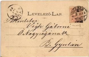 1899 (Vorläufer) Szeged, Városi gőzfürdő. Traub B. és társa kiadása