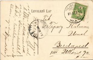 1906 Piliscsaba, Déli tábor, őrség. Rigócz József kiadása