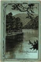 1902 Miskolc, Hámori tó. Gedeon A. Art Nouveau, floral, litho (EK)