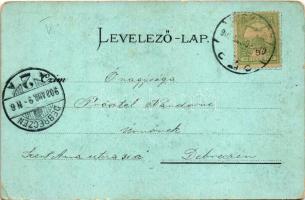 1902 Miskolc, Hámori tó. Gedeon A. Art Nouveau, floral, litho (EK)