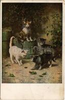 1917 Der erste Maikäfer / Cats. G.G.W.II. Nr. 202. s: Reichert (EB)