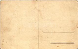 Kassa, Kosice; Sokol épület / Perspektívny Pohlad Sokolovne / Sokol building s: H. Smejkal (EB)