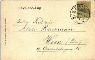 1906 Szatmárnémeti, Satu Mare; Pannonia szálloda, Halász Mór és Roth üzlete. Lövy M. kiadása / hotel...