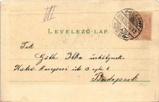 1899 (Vorläufer) Pozsony, Pressburg, Bratislava; Hajós egylet este evezősökkel / Ruderklub / Rowing ...