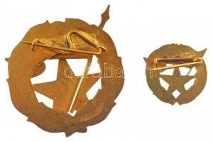 ~1960-1970. "Élelmiszeripar Kiváló Dolgozója" aranyozott, zománcozott fém kitüntetés, mini...