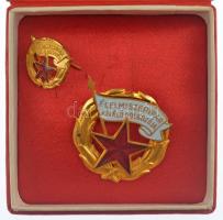 ~1960-1970. "Élelmiszeripar Kiváló Dolgozója" aranyozott, zománcozott fém kitüntetés, mini...