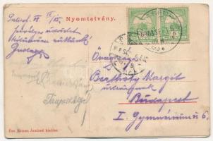 1908 Palics, Palic; tó részlet, csónak kikötő. Hiányos leporello egy képpel (Krausz Ármin üzlete). Ö...