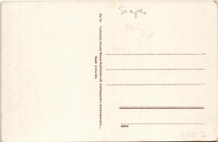 Ólubló, Stará Lubovna; vár a 18. században / castle in the 18th century