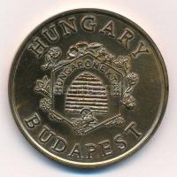 Bognár György (1944-) 1986. "Őrösi Pál Zoltán" kétoldalas bronz emlékérem (42,5mm) T:2