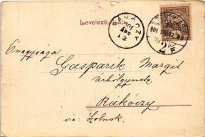 1901 Temesvár, Timisoara; Jenőherceg utca, Hemann Henrik üzlete.Polatsek kiadása / street, shops (EK...