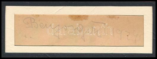 Bajor Gizi (1893-1951) színésznő autográf aláírása, eredeti fényképével, paszpartuban, teljes méret: 29,5x21 cm