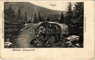 1913 Kőrösmező, Körösmező, Jaszinya, Jasina, Yasinia (Máramaros); Pleczki (Plecki), medvék. Rosenblüth Emanuel tulajdona / bears (EK)