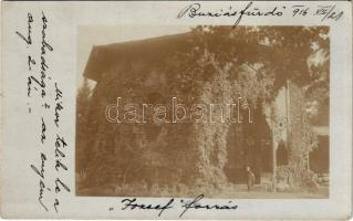 1916 Buziásfürdő, Baile Buzias; József forrás / mineral water spring pavilion. photo