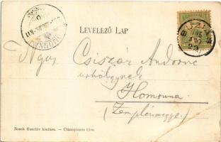 1905 Buziásfürdő, Baile Buzias; Fő tér, templom. Nosek Gusztáv kiadása / main square, church (EB)