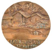 Ócsai Károly (1938-2011) DN "Dr. Albert Schweitzer / Lambréné 1913-1988" kétoldalas, öntöt...