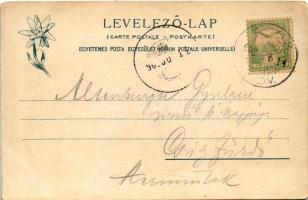 1902 Kassa, Kosice, Kaschau; színház és Fő utca. Feitzinger Ede 1902/12. 208. / theatre ad main stre...