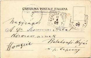 1905 Gardone Riviera, general view (tear)