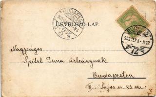 1903 Budapest VIII. Tanítónők Otthona. Orczy út 6. (EK)