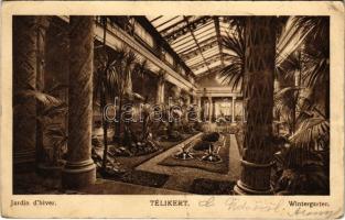 1922 Budapest XI. Szent Gellért gyógyfürdő és szálló, belső, téli kert (EK)