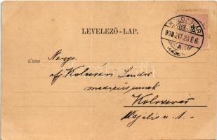1899 (Vorläufer) Kolozsvár, Cluj; Vegytan intézet. Dunky fivérek / Institute of Chemistry (EK)