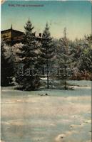 1922 Arad, Téli kép a Salacz parkból. Matusik felvétele, Kerpel Izsó kiadás / winter (EB)